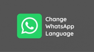 अब WhatsApp को भी कर सकते है अपनी भाषा में इस्तेमाल, तो यहाँ जानें पूरी जानकारी...