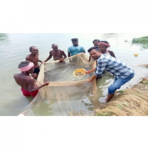 सफल किसान: मत्स्य पालक किसान ने मछली पालन से बदली अपनी किस्मत