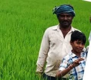 राजीव गांधी किसान न्याय योजना के तहत अब खुद के साधन से खेती करने लगा है किसान धनीराम, दूसरों पर निर्भरता खत्म...