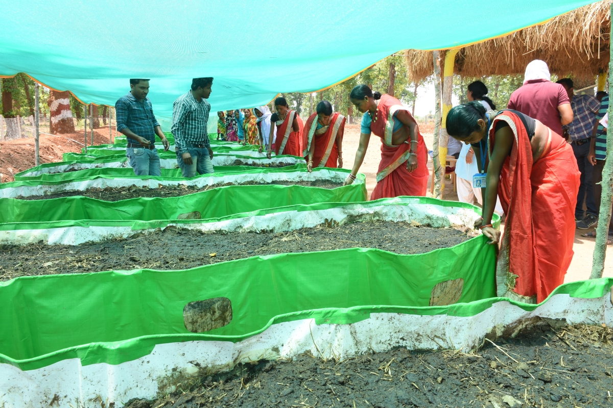 compost producing women