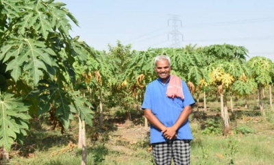 धान के बदले उद्यानिकी फसलों को बढ़ावा देकर प्रगतिशील किसान ऐनेश्वर वर्मा ने लिखी सफलता की नई इबारत