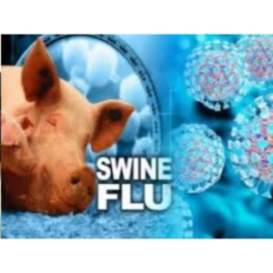 Swine Flu Alert 2022: पलटवार कर रहा स्वाइन फ्लू, छत्तीसगढ़ में अब तक 57 मरीज हॉस्पिटल में भर्ती