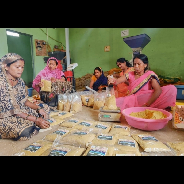 स्व.सहायता समूह की महिलाओं की ऐतिहासिक उपलब्धि, स्वावलंबन की मिसाल पेश करते हुए नया आयाम स्थापित कर रहीं महिलाएं …