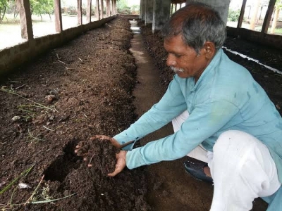 बदलती खेती किसानी: वर्मी कंपोस्ट ने बदल दी किसानों की तकदीर, आर्गेनिक खेती के जरिए कर रहे मोटी कमाई