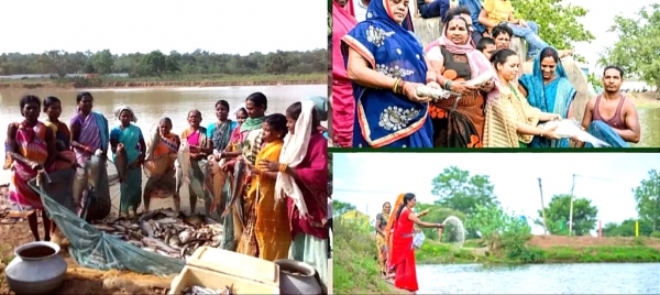 ग्रामीण अर्थव्यवस्था का मजबूत आधार बनी गौठान, लोगों को मिल रहा रोजगार के अवसर...