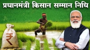 PM Kisan सम्मान निधि में अब मिलेंगे 8000 रुपए, मोदी सरकार की किसानों को बड़ा गिफ्ट देने की तैयारी