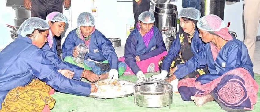 बदलती खेती किसानी: जैविक खेती रीपा में हजारों लोगों को मिल रहा रोजगार...