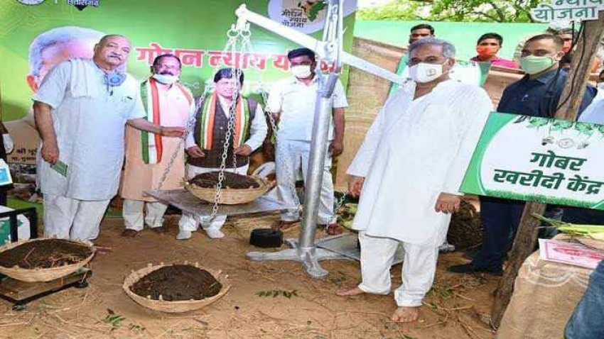 मुख्यमंत्री भूपेश बघेल की दूरवर्ती सोच ने किया कमाल, गोधन के धन से पशुपालक हुए मालामाल, किसी ने खरीदी जमीन तो किसी ने पत्नी के लिए बनवाए गहने