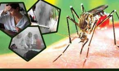 भिलाई में डेंगू का कहर: सेक्टर एरिया में दस्तक, जिले में 180 के पार पहुंचा आंकड़ा