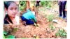 आदिवासी महिला की हत्या कर दंपति ने शरीर के किए 31 टुकड़े, सबूत मिटाने जंगल में दफना दिया तुकड़ा