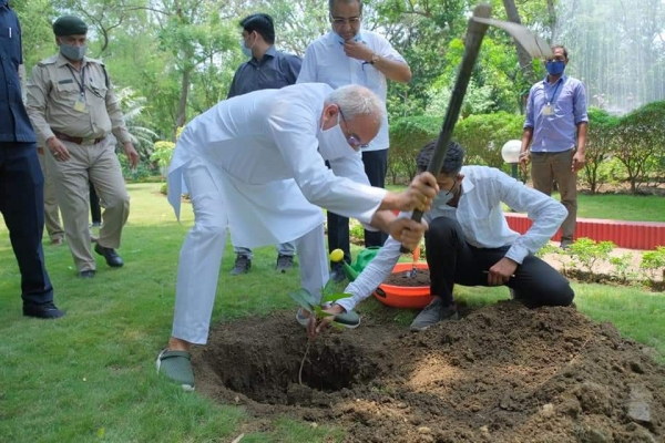                            वृक्षारोपण करते मुख्यमंत्री भूपेश बघेल 