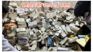 भ्रष्टाचार की उगाई गई फसल: मंत्री के पर्सनल सेक्रेटरी के नौकर के पास निकला 30 करोड़ नोटों का बंडल, गिनती के लिए मंगानी पड़ी मशीन
