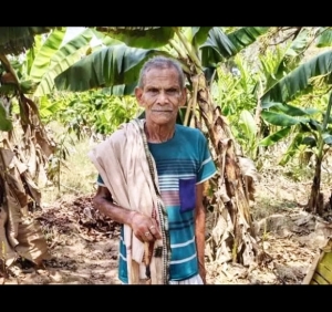 जैविक खेती: लागत कम बढ़ा मुनाफा, किसान न्याय योजना किसानों के लिए वरदान साबित...