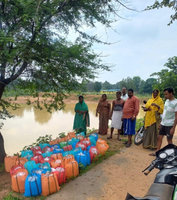 सफलता की कहानी: मत्स्य पालन की कला में पारंगत हो रही हैं महिलाएं, गौठान स्थित तालाब में मछली पालन को बनाया कमाई का जरिया