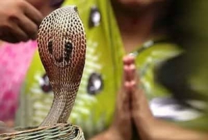 Nag Panchami 2024: आज है नाग पंचमी, जानिए पूजा के शुभ मुहूर्त और पूजन विधि के बारे में