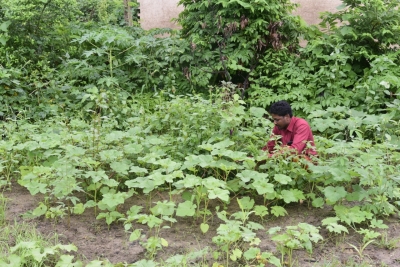 पोषण बाड़ी योजना से संतोष के जीवन में आयी खुशहाली