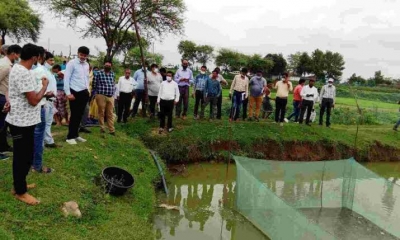 मछली बीज से हुआ 4 लाख 50 हजार का मुनाफा, मत्स्य कृषक से जाने सफलता की कहानी